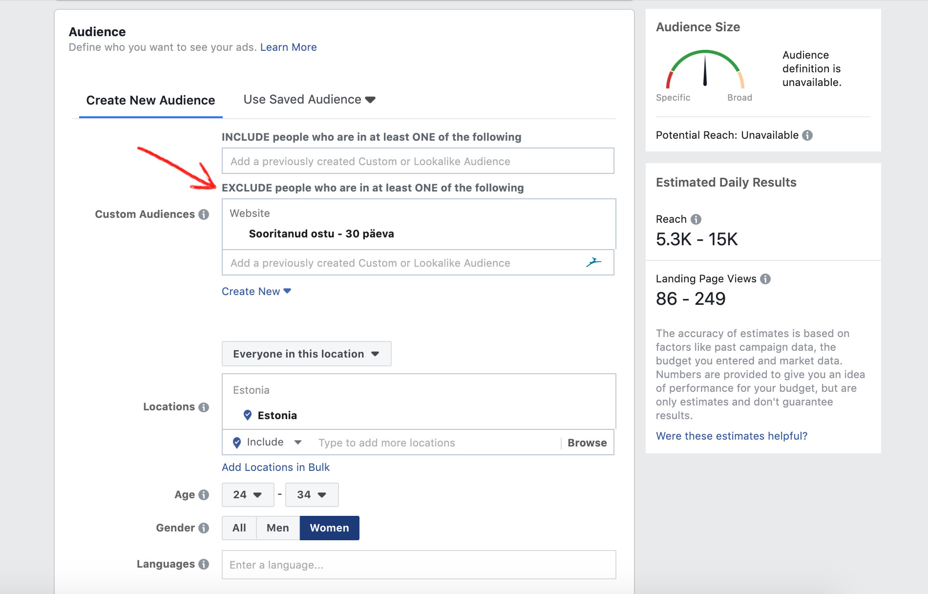 Facebook Ads Manager custom audineces