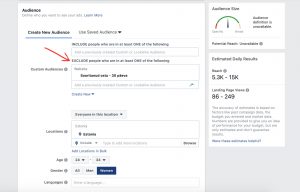 Facebook Ads Manager custom audineces